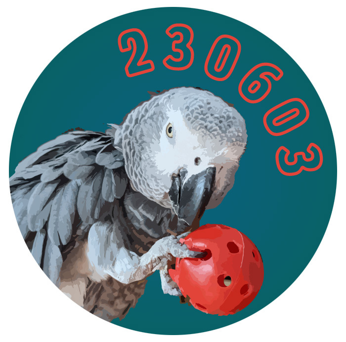 230603-pamper-the-parrot.jpg